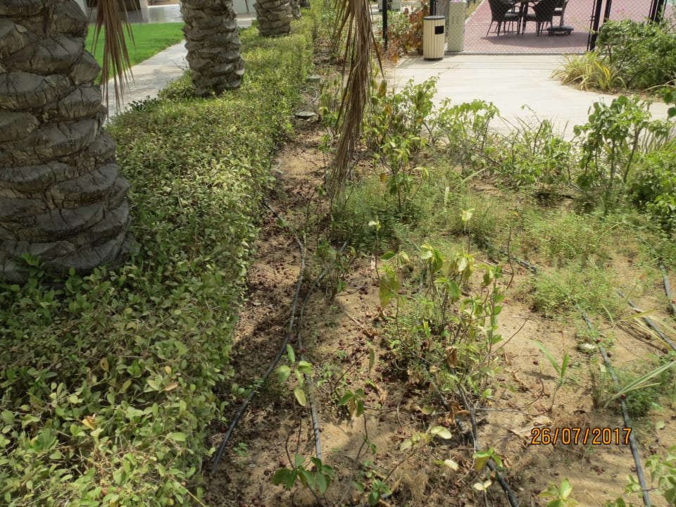 Sonstiges Waldorf Astoria Dubai Palm Jumeirah