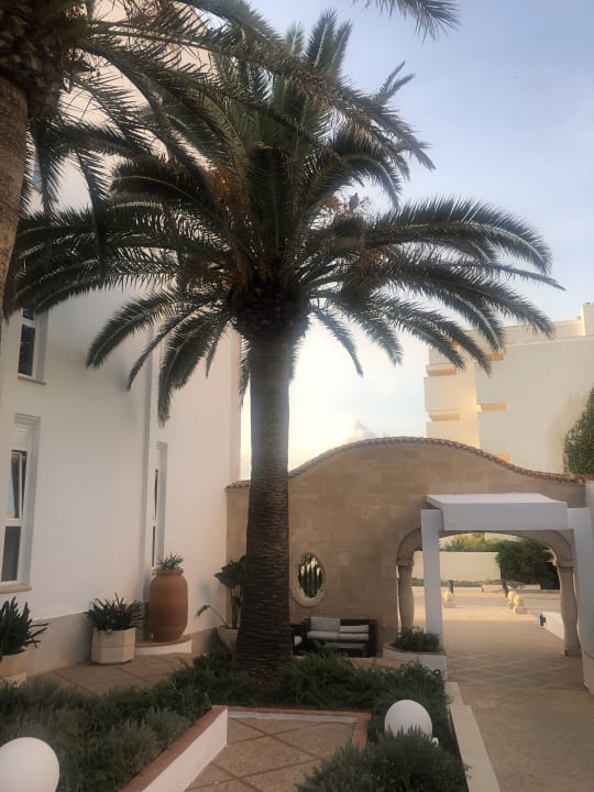 Sonstiges Universal Hotel Cabo Blanco - Adults Only