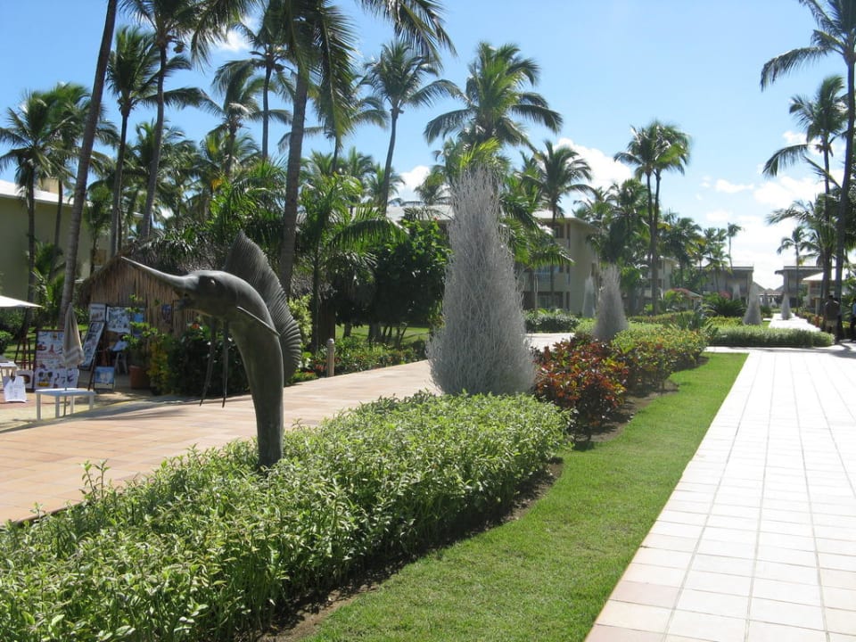 Links ist das Cocotal  Grand Sirenis Punta Cana Resort & Aquagames
