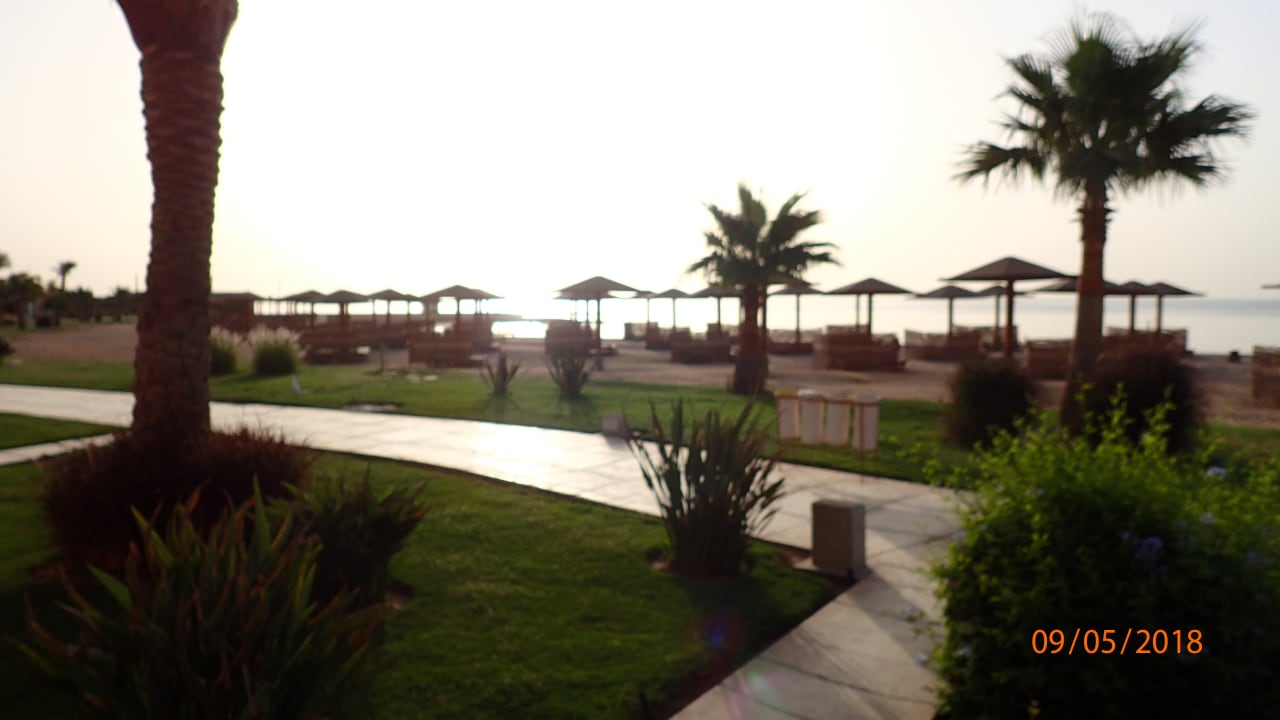 Zimmer Shams Prestige Abu Soma-Adults Only