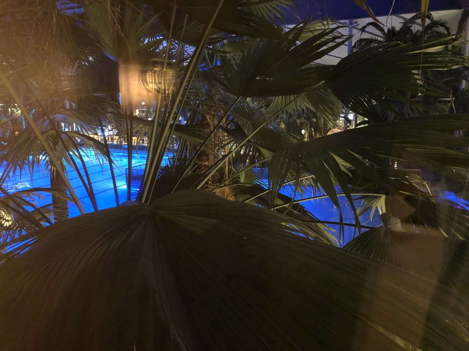 Ausblick Hotel Victory Therme Erding