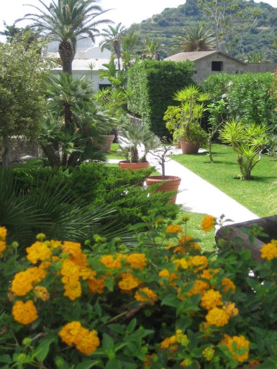 Garten von San Michele Hotel Casa Celestino