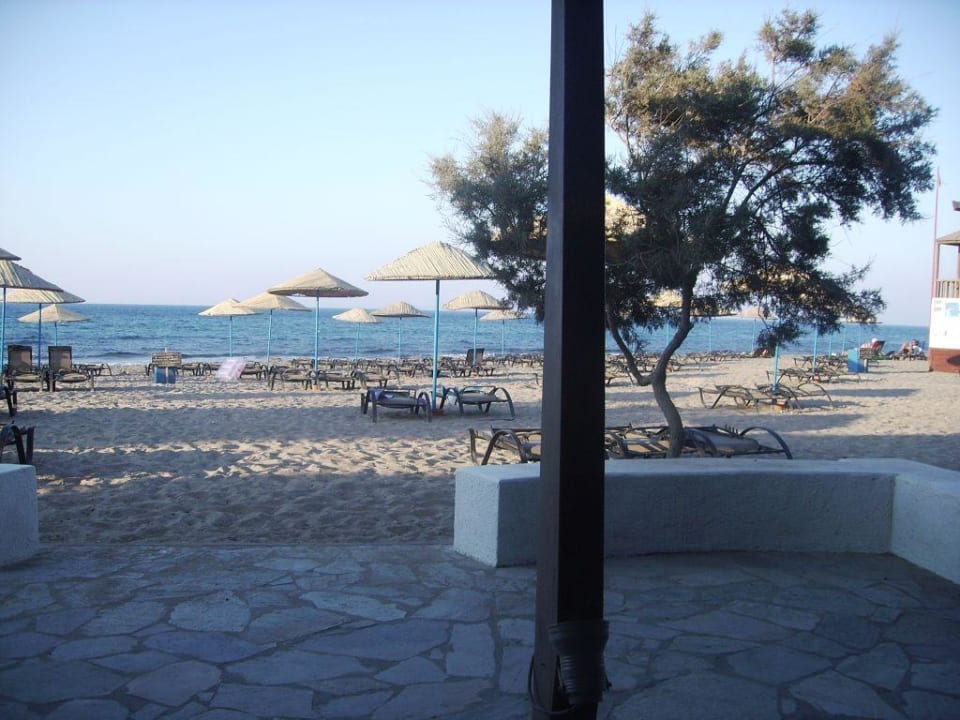 Grieche am strand Apollonia Beach Resort & Spa