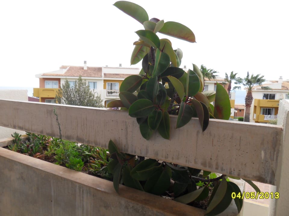 Zimmer mit Meerblick blau punta reina