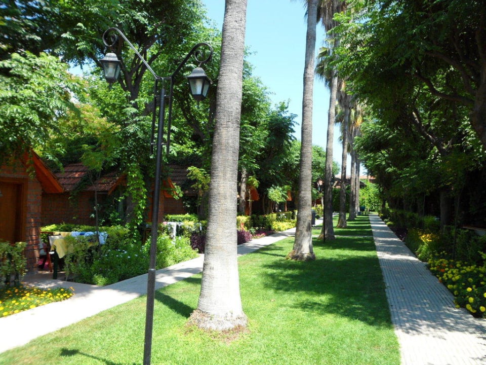 Palmenallee entlang der Steinbungalows Can Garden Beach