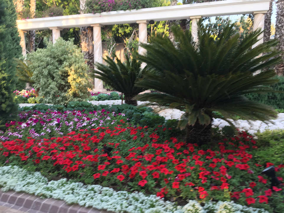 Gartenanlage TUI Magic Life Belek