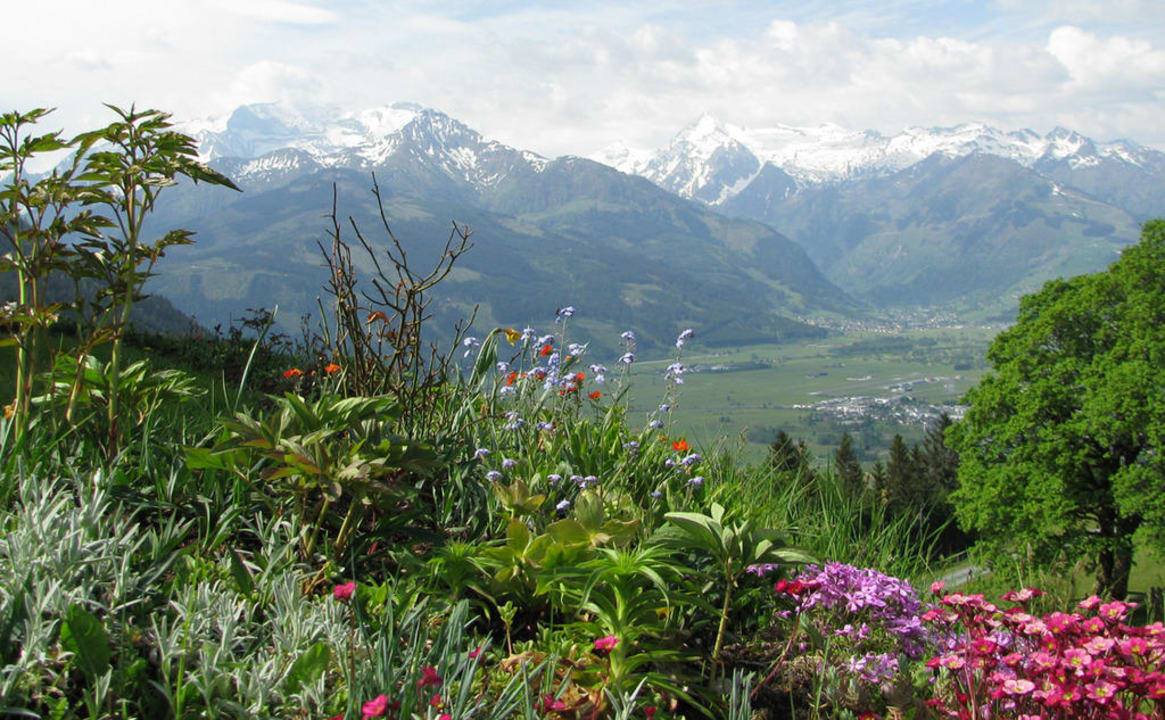 Vom Holzegghof auf das Zeller Becken Holzegghof