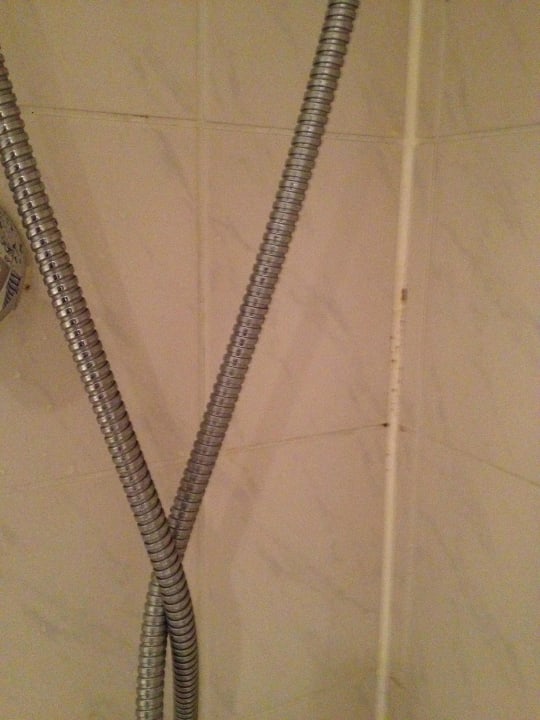 Schimmel und Haare in der Dusche Hotel de Witte Bergen