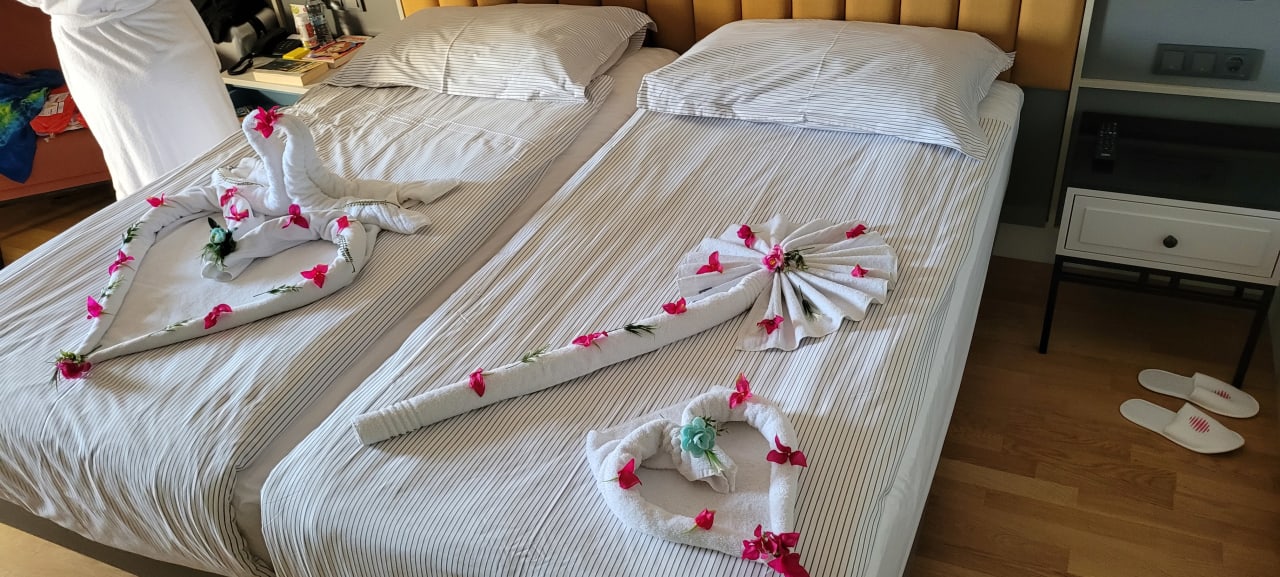 Zimmer Arum Barut Collection