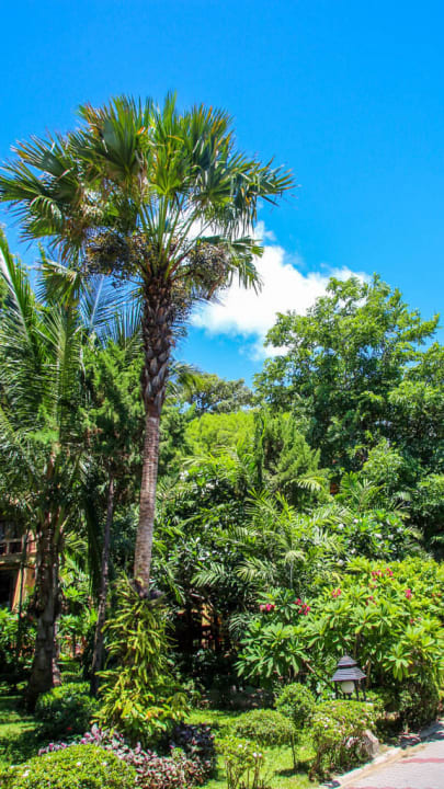 Fair House Beach Ressort The Fair House Beach Resort