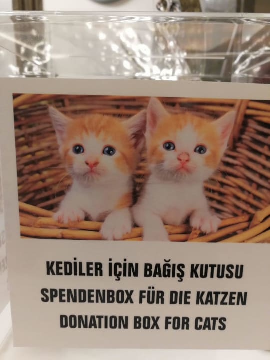 Unsere Tiere freuen sich über eine Spende Side Royal Palace Hotel & Spa