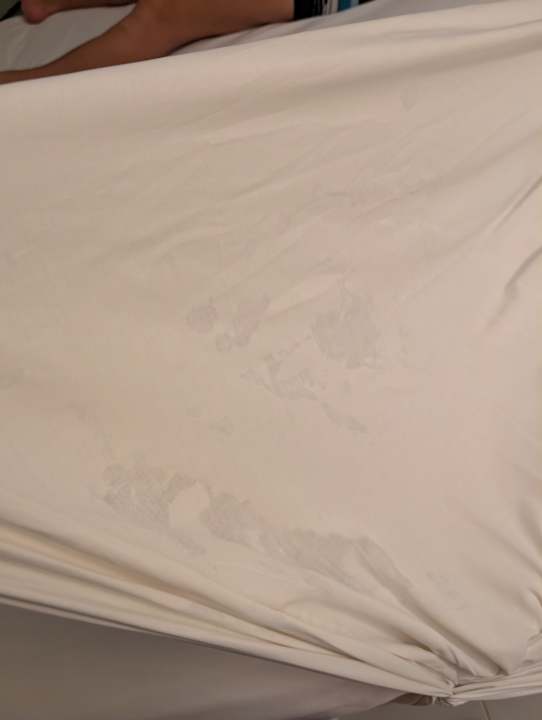 Zimmer Shalimar Hammamet