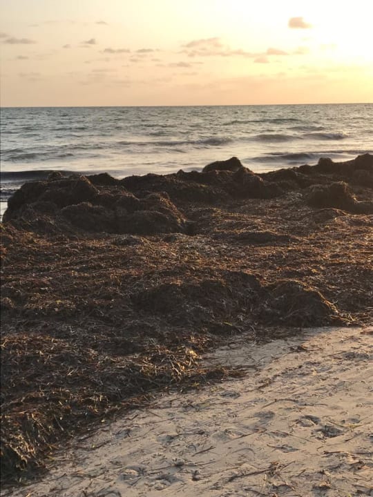Strand Djerba Sun Beach Hotel & Spa
