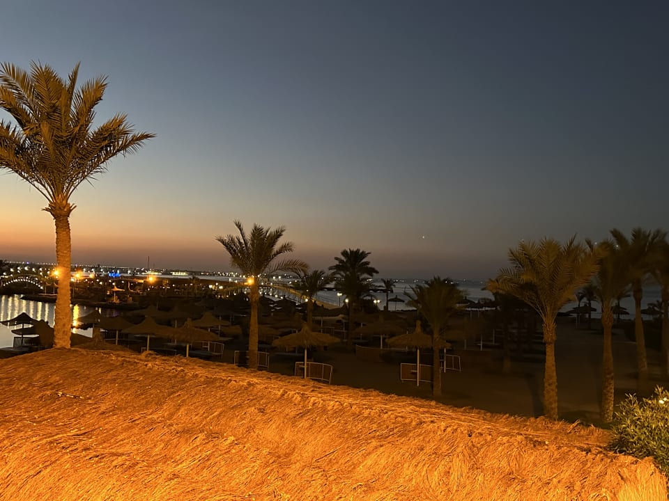 Ausblick Desert Rose