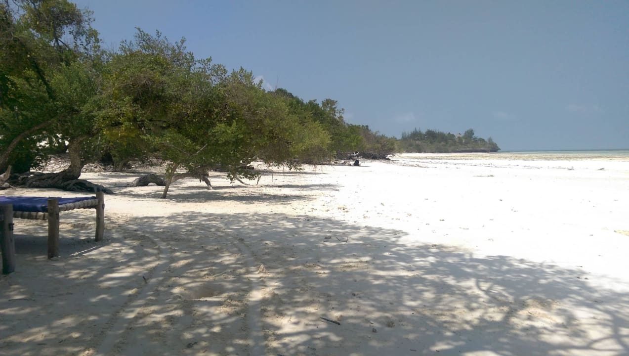 Wildlife 3 Pearl Beach by Sansi
