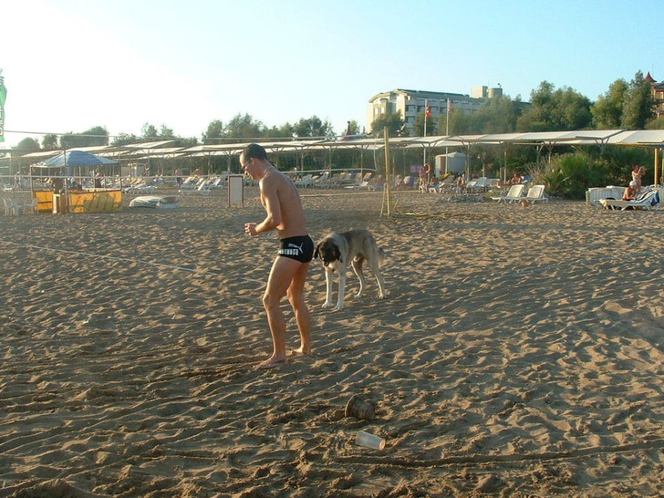 Am Hotelstrand Hotel Orfeus Park