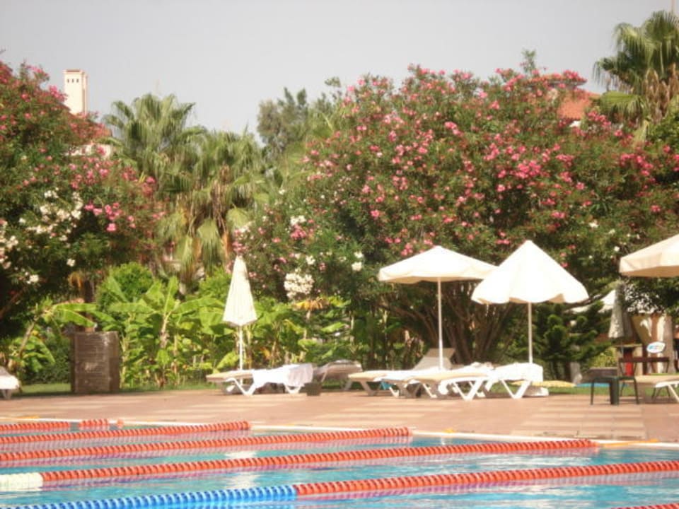 Olympischerpool/ sehr ruhig und erholsam! Sirene Belek Hotel