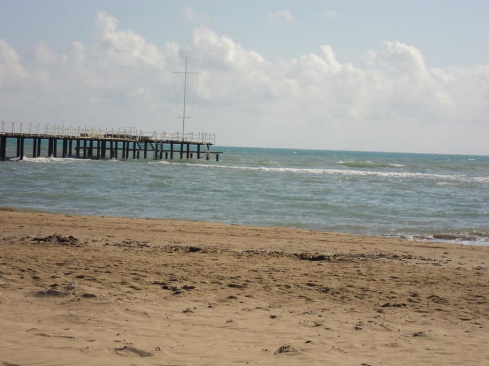 Strand PALOMA Perissia