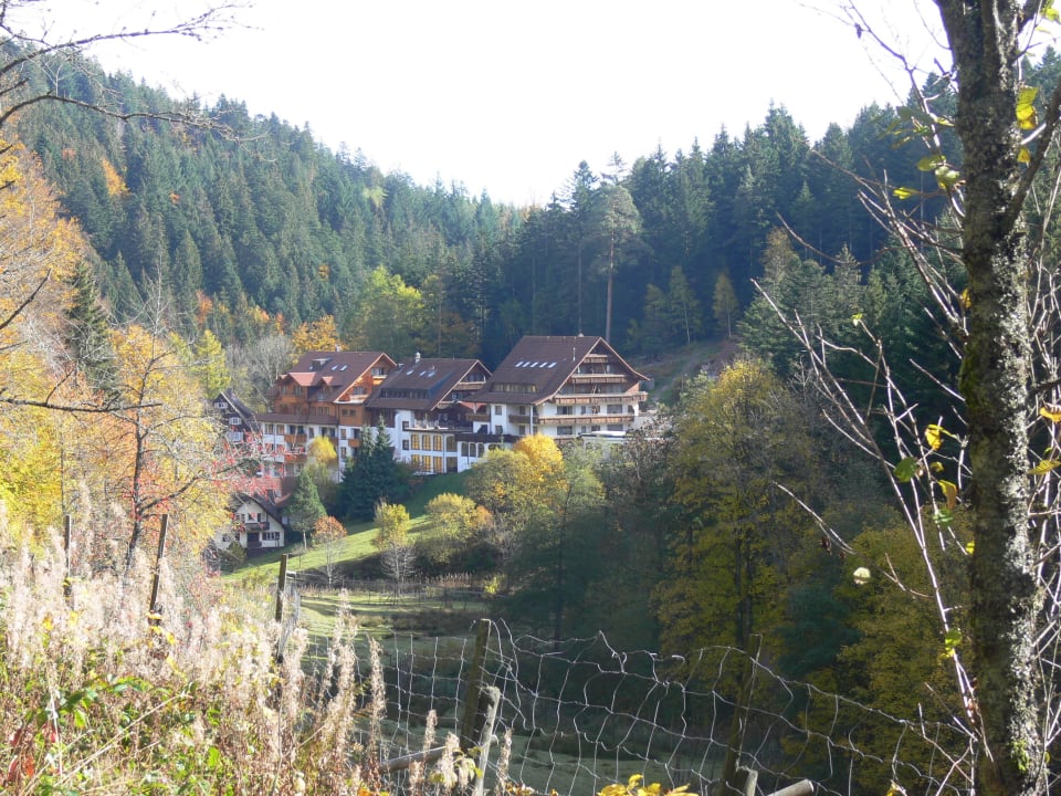 Forsthaus Auerhahn 10-2015 Wellnesshotel Forsthaus Auerhahn
