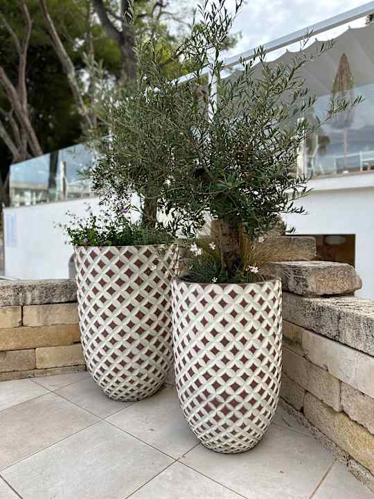 Außenansicht Iberostar Waves Playa de Muro