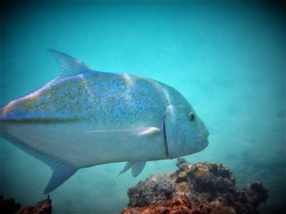 Strand Cinnamon Dhonveli Maldives