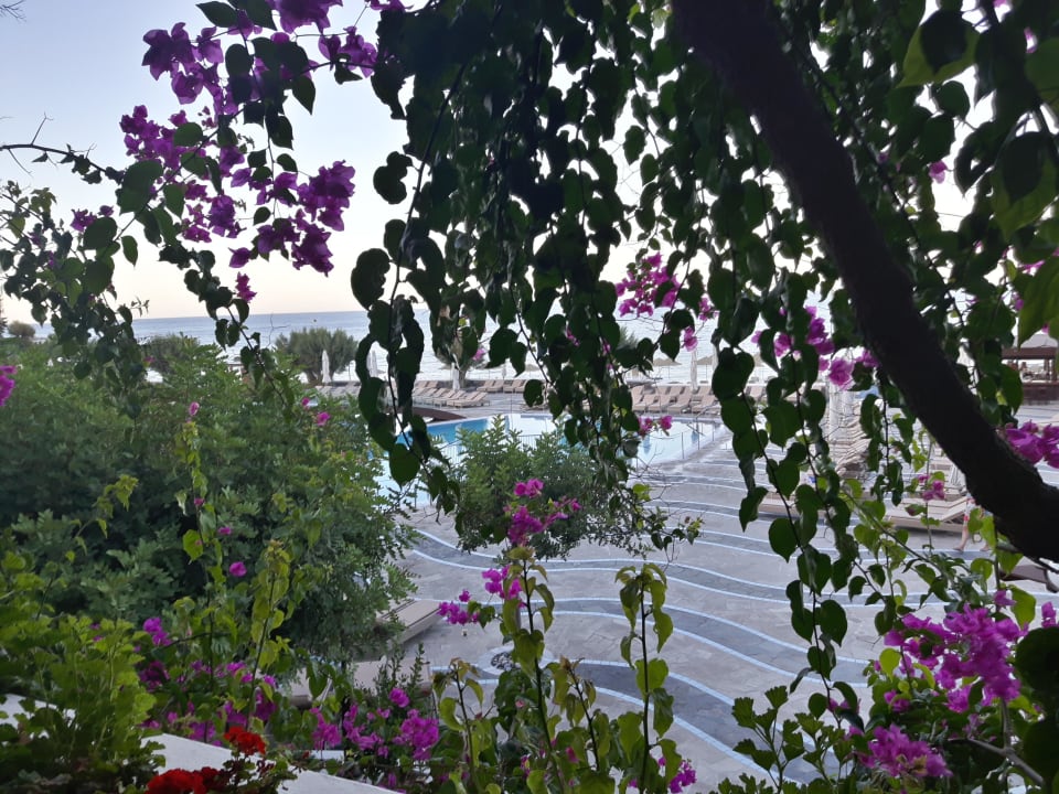 Blick aus der Romantikbar  Creta Maris Resort