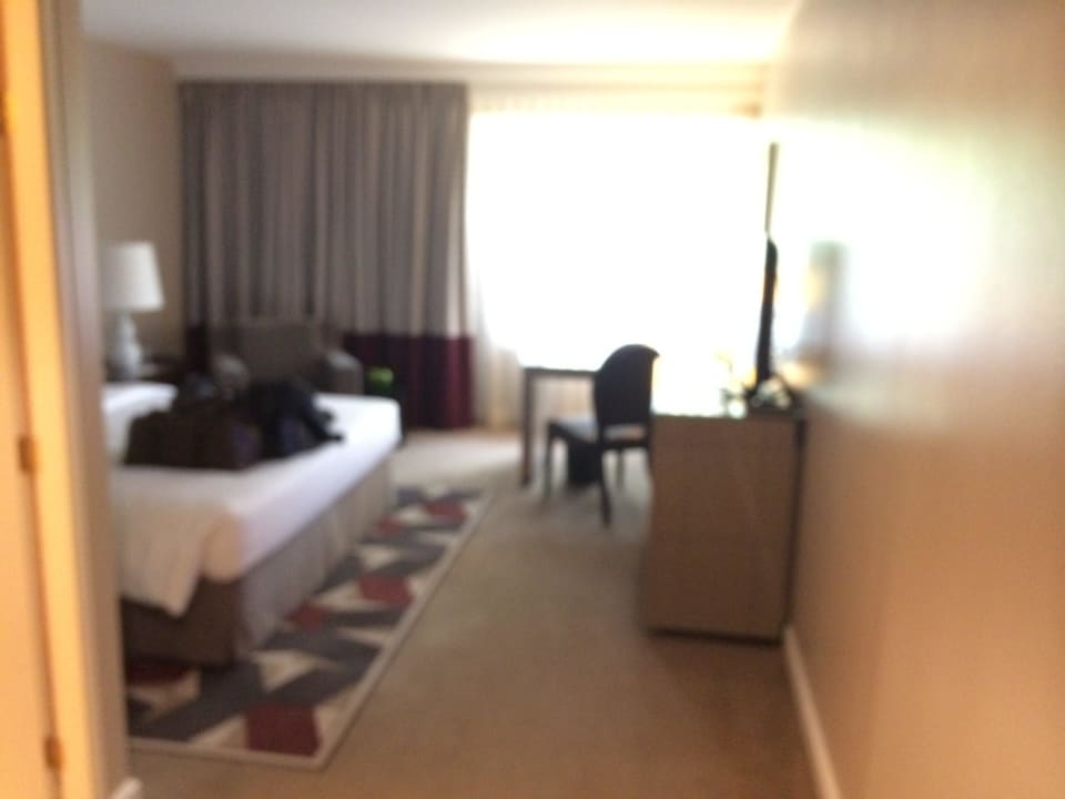 Blick ins Zimmer Hyatt Regency Köln