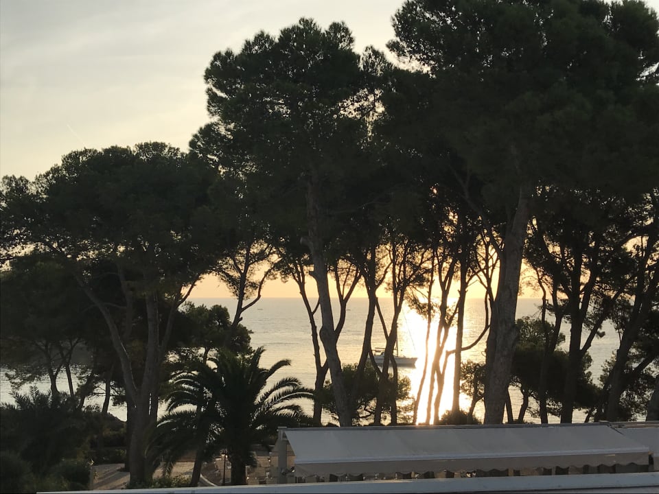 Ausblick Iberostar Waves Pinos Park