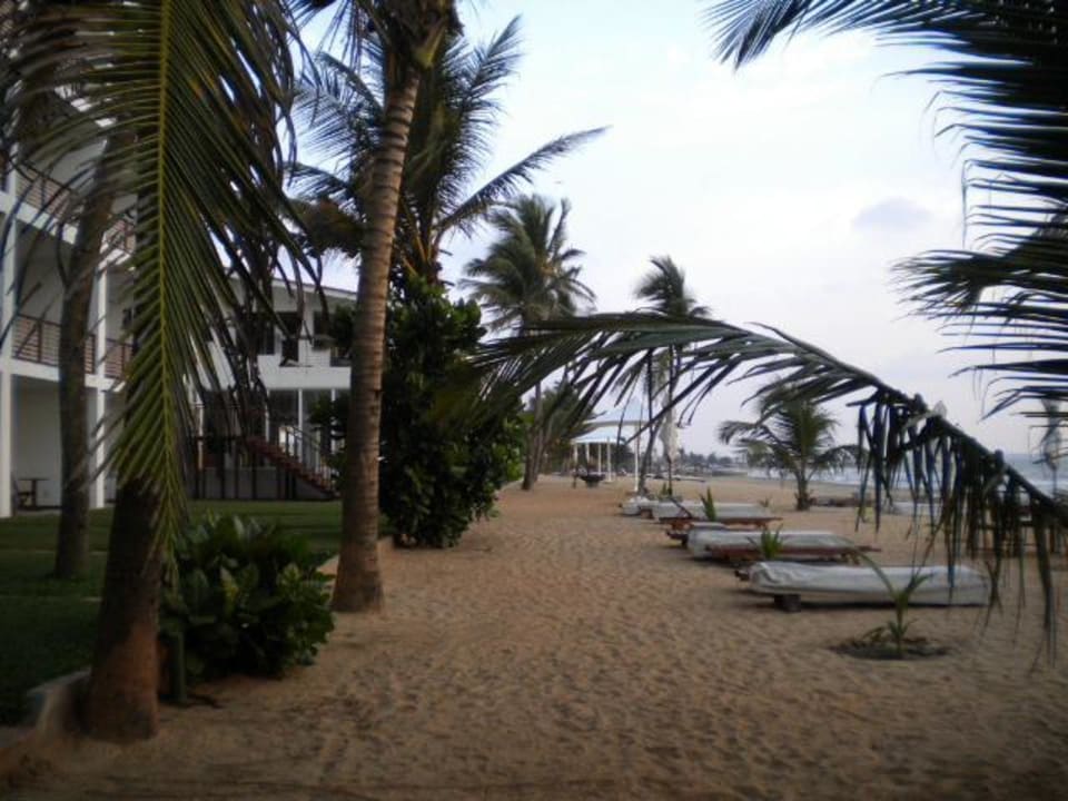 Strand am Abend Hotel Jetwing Sea