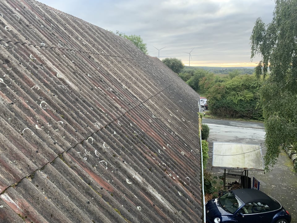 Ausblick Landhotel Lechstedter Obstweinschänke