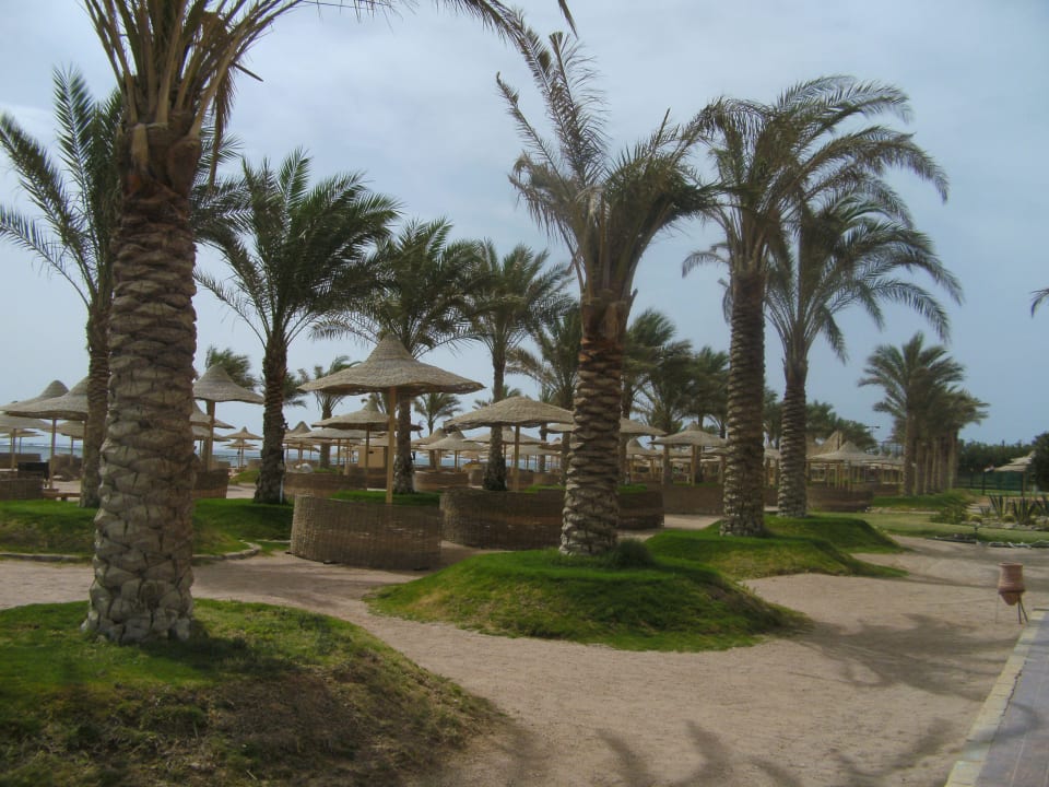Am Strand Pickalbatros Royal Moderna Resort-Sharm El Sheikh