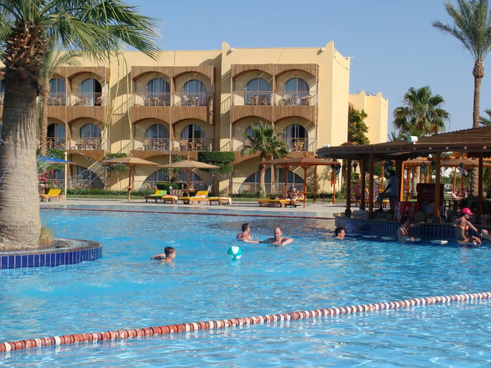 Bar w wodzie Desert Rose