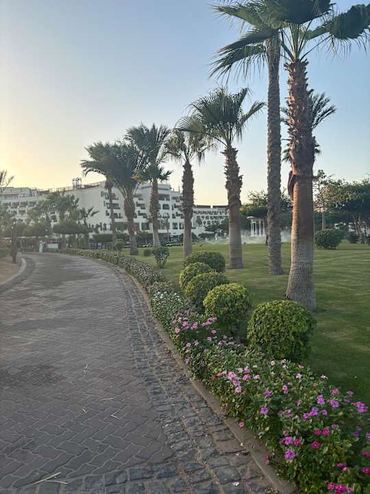 Gartenanlage Steigenberger ALDAU Beach Hotel