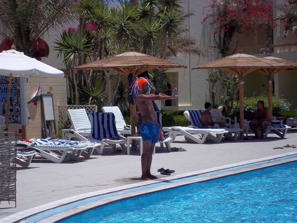 Tolle animation. Palm Beach Resort