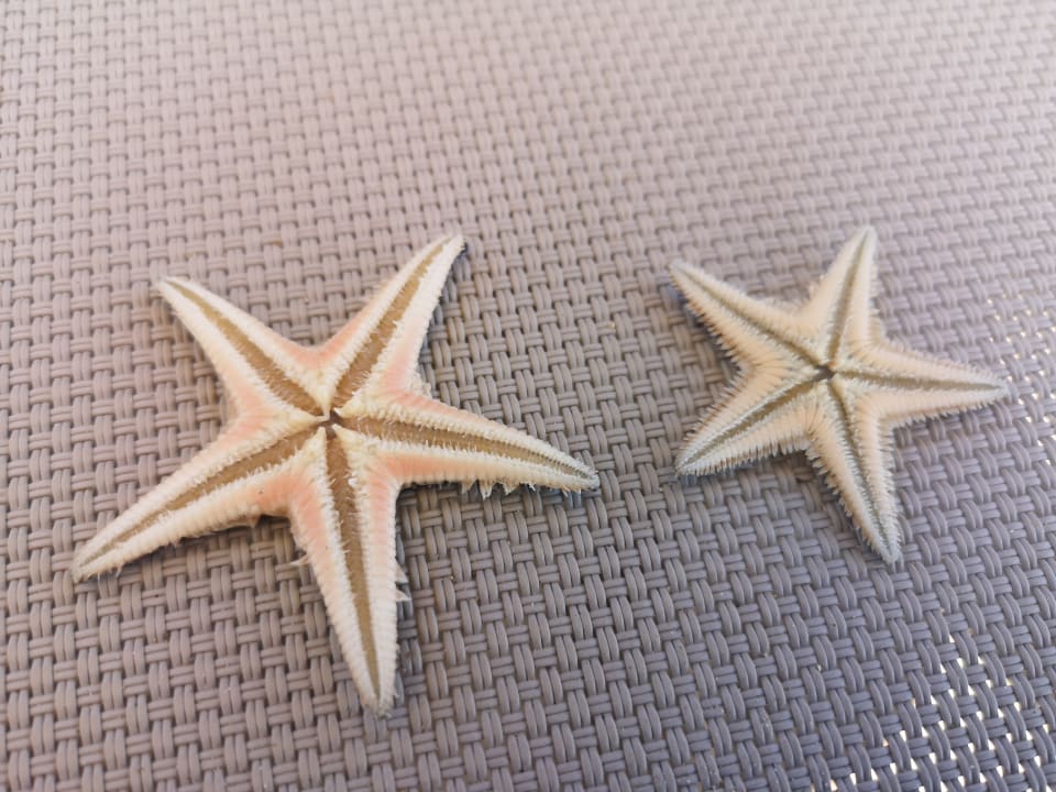 Strand Aydinbey Kings Palace & Spa