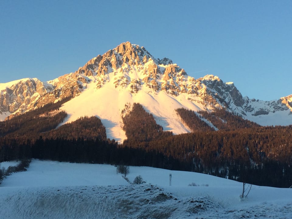 Ausblick Gasthof Ellmauer Hof