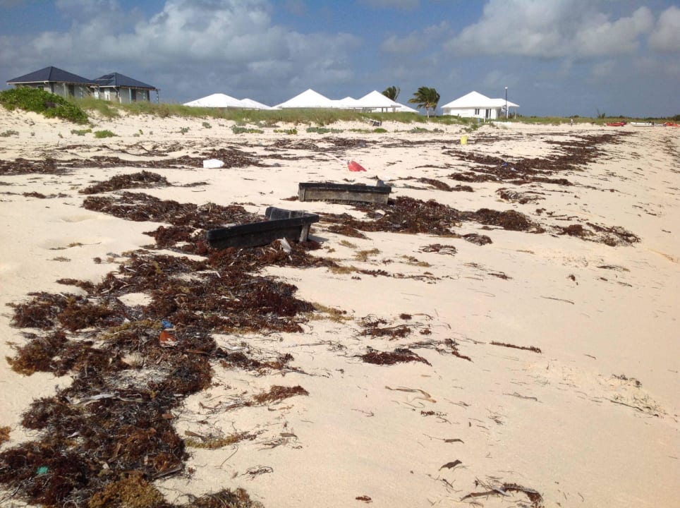 Garbage on beach+in water disturbed water sports Guanahani Beach Club