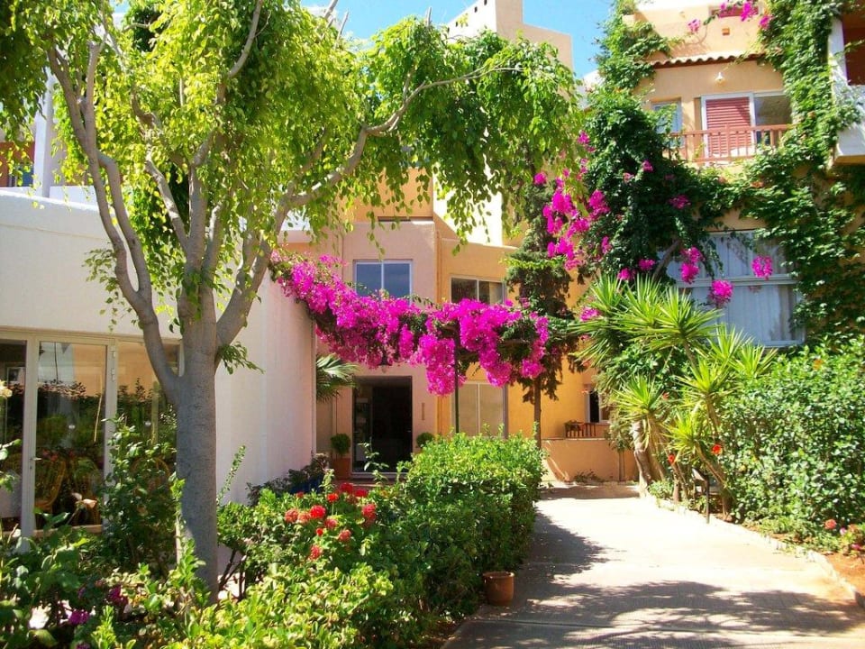 Eingang Hauptrestaurant Anissa Beach & Village