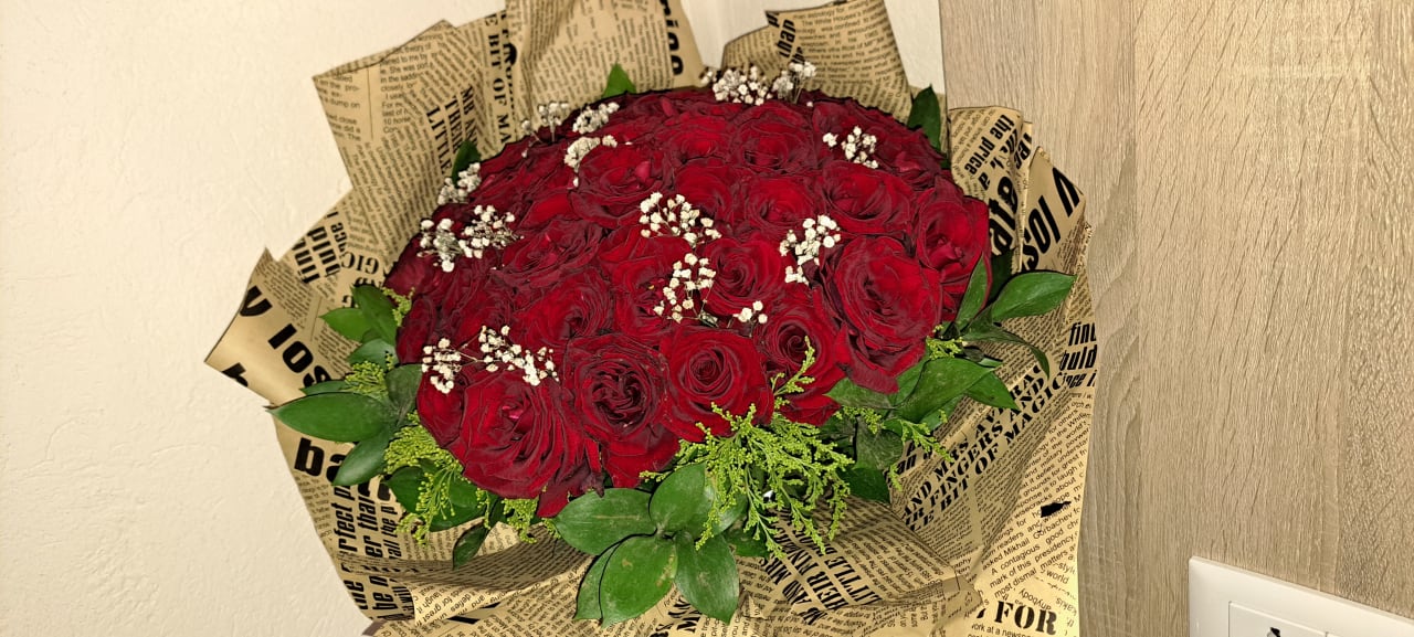 Zimmer Pickalbatros Citadel Resort