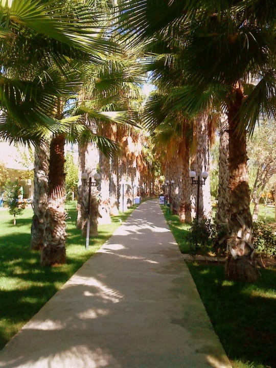 Weg zur Strandbar und weiter zum Strand Hotel Gardenia Beach