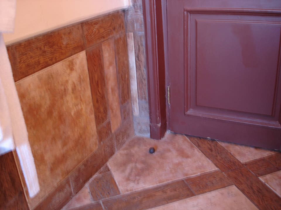 3217 Pickalbatros Citadel Resort