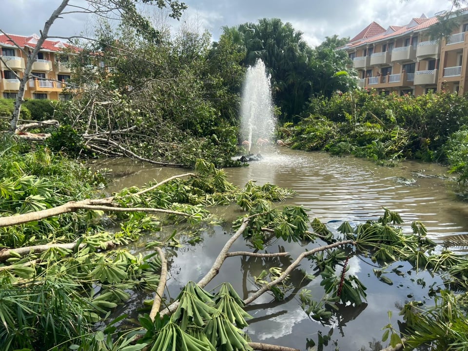 Gartenanlage Hotel Viva Dominicus Beach by Wyndham - All Inclusive Resort