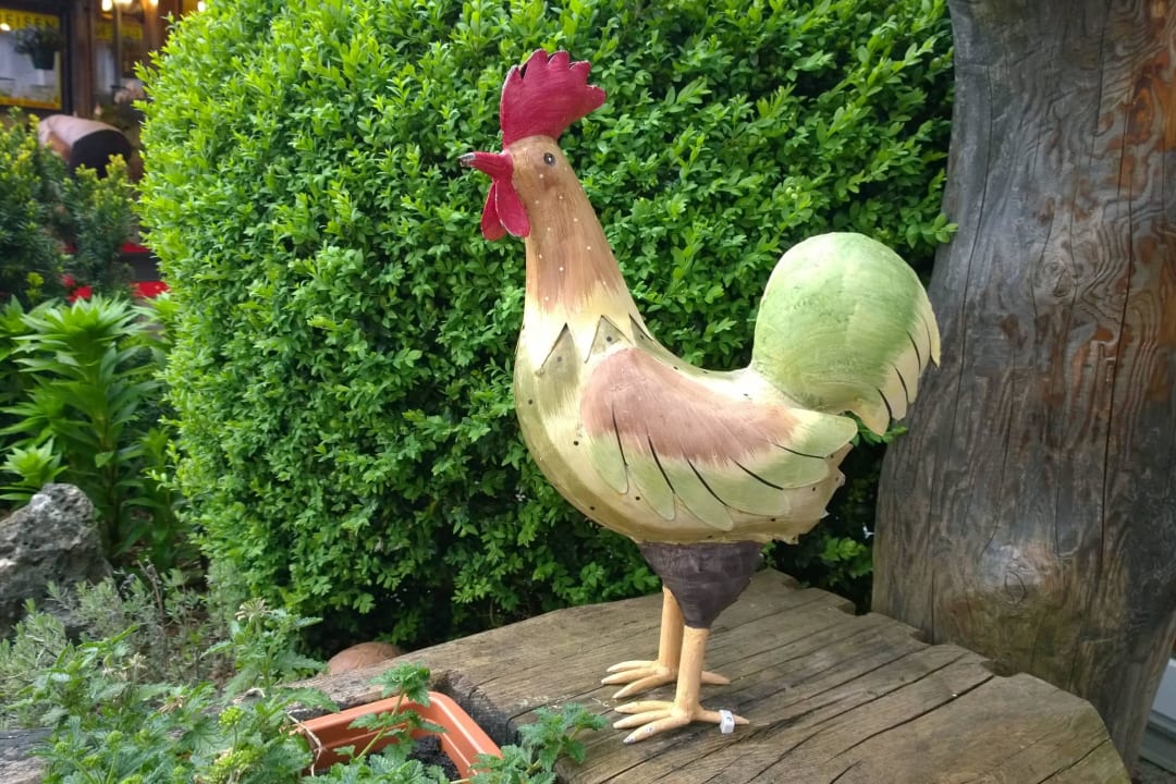 Rund ums Hotel Sporthotel Wilder Kaiser