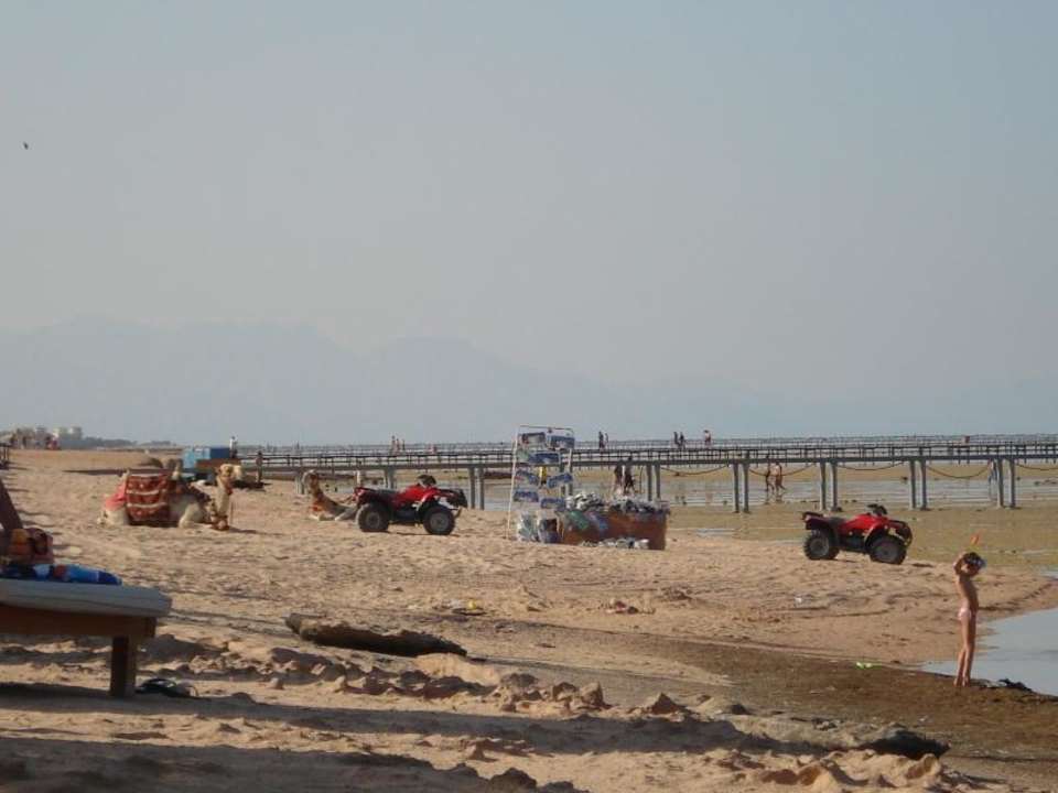 Plaża Sharm Grand Plaza Resort
