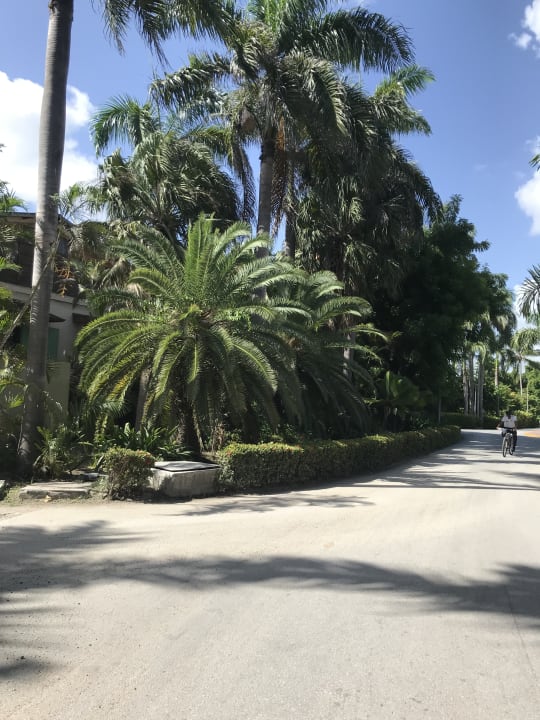 Gartenanlage Hotel Grand Palladium Palace Resort, Spa & Casino