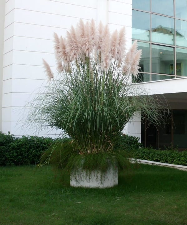 Gartendekoration Alba Queen Hotel