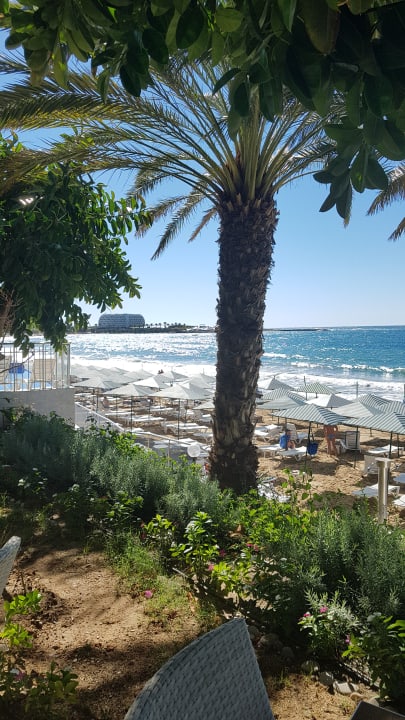 Gartenanlage Aska Hotel Just in Beach