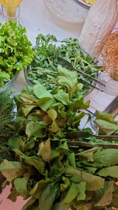 Gastro Hotel Orfeus Park