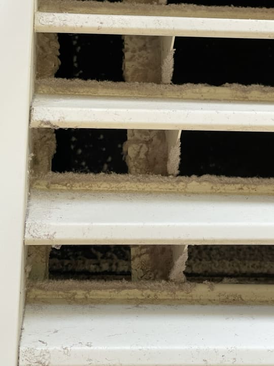 Pool Center Parcs Park Bostalsee