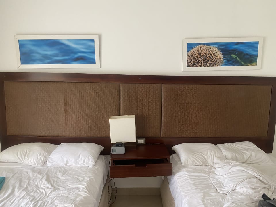 Zimmer Wyndham Alltra Samana